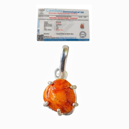 GEMTUB Certified Machh Mani Pendant (Fish Stone) in German Silver for Rahu Dosh Removal – Brown